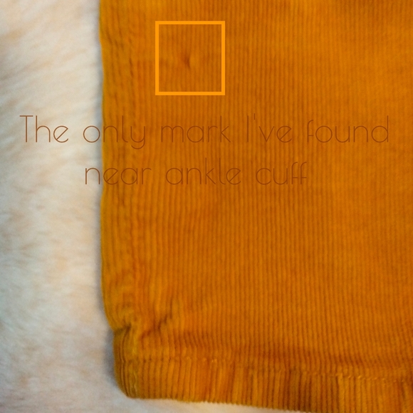 ✨7 For All Mankind✨ Corduroy Pants - Picture 7 of 14